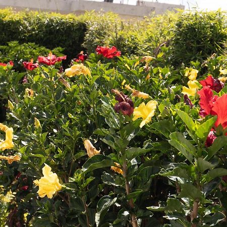 Hospedaje El Girasol Tababela Quito Bagian luar foto