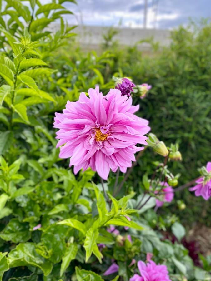 Hospedaje El Girasol Tababela Quito Bagian luar foto